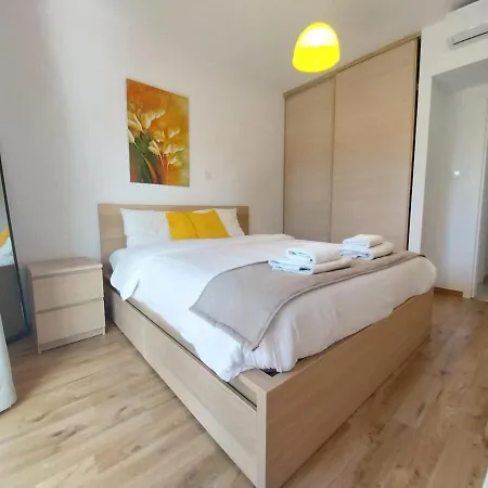 Palm 26