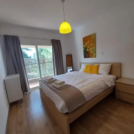 Palm 26 *