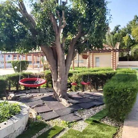 Apartment Palm 26