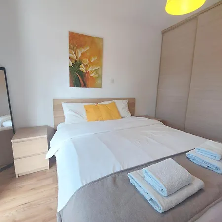 Palm 26
