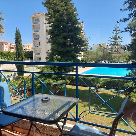 Palm 26 *