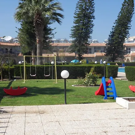 Palm 26 *