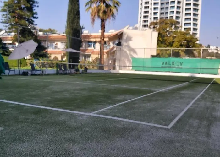 Palm 26 利马索尔