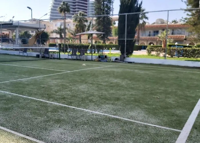 Palm 26 * 利马索尔