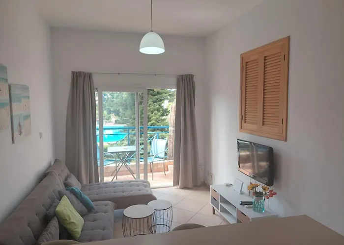 Palm 26 * 利马索尔