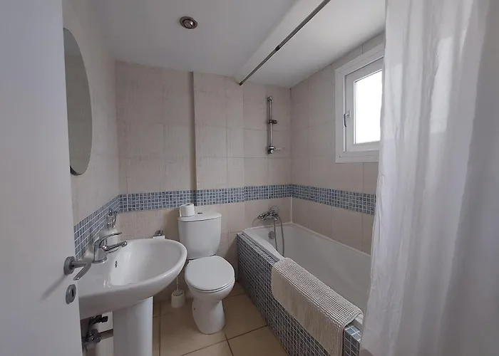 Palm 26 * 利马索尔