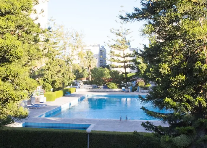 Palm 26 * 利马索尔